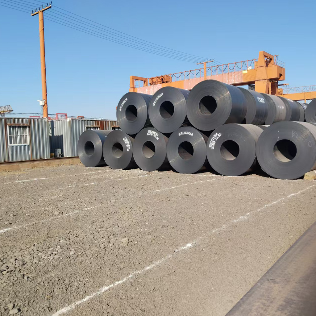 _0006_微信图片_20250220151839